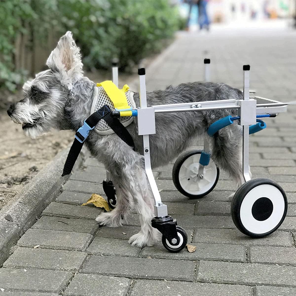 GOTO funny 楽天市場店の犬用車椅子 調節可能 4輪 犬用カート 動物用運動用車輪 補助歩行車 サポートフレーム 身体障害者や麻痺のあるペット/犬の前足と後足の可動性歩行用 Xxs (Xxs)｜アングル3