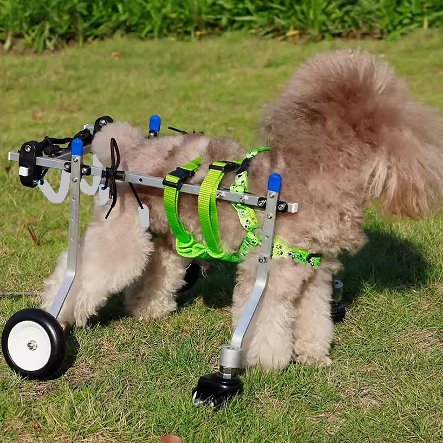 犬用車いす フロントホイールとバックホイールを備えた猫の車椅子、 中程度から大きな犬用の4輪犬の車..