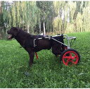 調節可能な2輪ペットカート/車椅子、後ろ足リハビリ用ペットリハビリカート、便利な犬用車椅子、後ろ足が不自由な犬用補助トレーニングホイール(L、XL)