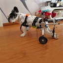 ポータブルペット用車椅子 アルミ製 2輪 犬用車椅子 ウォーキングツール 犬用カート 取り外し可能な後脚付き犬用車椅子