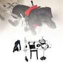調節可能な4輪犬用カート/車椅子、犬用カート、動物用エクササイズホイール、身体障害者用後脚歩行用ペット車椅子用、身体障害者用犬用の麻痺した補助サポート、簡単な組...