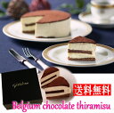 五島軒 公式 ベルギーチョコレートティラミス ケーキ 濃厚 函館 北海道産 ベルギー ホワイトデースフレ 牛乳 バター マスカルポーネ ギフト プレゼント 贈り...