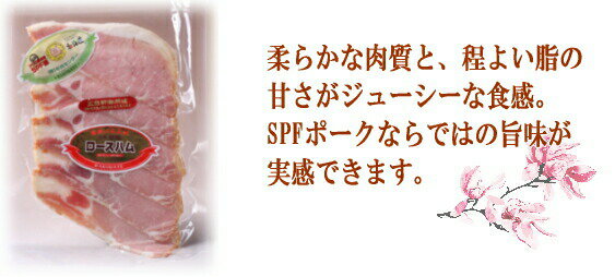 ���縮 ���� ȡ�۸��縮�ο��ѥ�ȥ���륭��ȥꥻ�åȡ��������� �ѿ� ���ѥ� ����� ��¤����ľ�� ���ե� �ץ쥼��� ���渵 ����ѥ� �̳�ƻ�� �̳�ƻ������ ��̣˭�� �ѥ� �١����� �ϥ� ������ʡ�