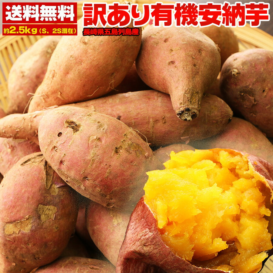 さつまいも 訳あり 有機 安納芋 2.5kg 送料無料 サツマイモ 訳アリ 安い 家庭用 蜜芋 焼き芋用 あんのう芋 安納いも わけあり お取り寄せ ギフト プレゼント