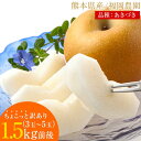【毎年即完売!!】 ちょっと 訳あり 梨 なし 福岡農園 秋月 あきづき 吉野梨 ナシ 1.5kg前後 (3~5玉) 送料無料 熊本県産 お取り寄せ 《9月上旬~9月下旬頃配送予定》