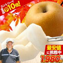 【11日1時59分まで★エントリーで全品P10倍】 【最大1セット分無料!】 梨 なし 福岡農園 ナシ 秋月 あきづき 吉野梨 1.5kg前後 (3〜5玉) 送料無料 熊本県産 熊本 お試し 旬 果物 旬 フルーツ お取り寄せ 《9月上旬-9月下旬頃より配送予定》|