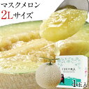 九州産 マスクメロン 2Lサイズ 1玉 約1.2kg 秀品 送料無料 熨斗付き 贈答用 フルーツギフト プレゼント 《ご選択の納期以内に発送》