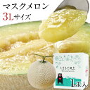 マスクメロン 九州産 秀品 3L 大玉 約1.5kg ギフト 高級 フルーツ 贈答用 送料無料 メロン 熨斗 フルーツギフト のし対応 《配送予定に記載の日程でお届け》|