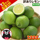 国産 レモン 訳あり 1.5kg 送料無料 【最大4.5kgおまけ増量】熊本県産 リスボンレモン グラントレモン サイズ不選別 フルーツ 檸檬 レモン水 レモン...
