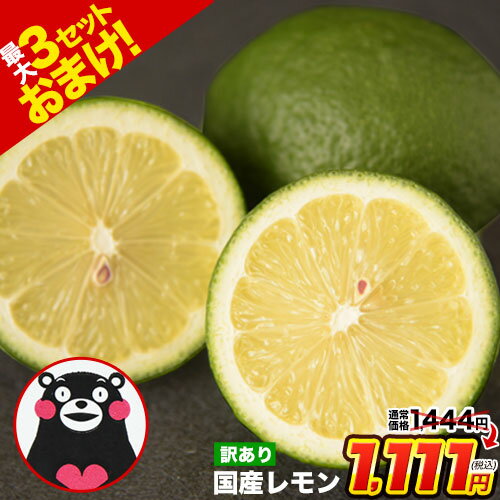 国産 レモン 訳あり 1.5kg 送料無料 【最大4.5kgおまけ増量】熊本県産 リスボンレモン グラントレモン サイズ不選別 フルーツ 檸檬 レモン水 レモンピール 料理 レモンサワー にもオススメ 《1-5営業日以内に発送予定》
