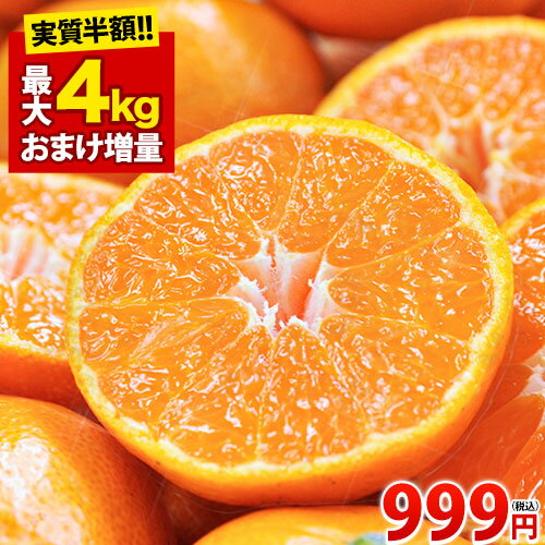 みかん 訳あり 送料無料 1kg ご当地 熊本 九州 ミカン 大玉 小...(4)