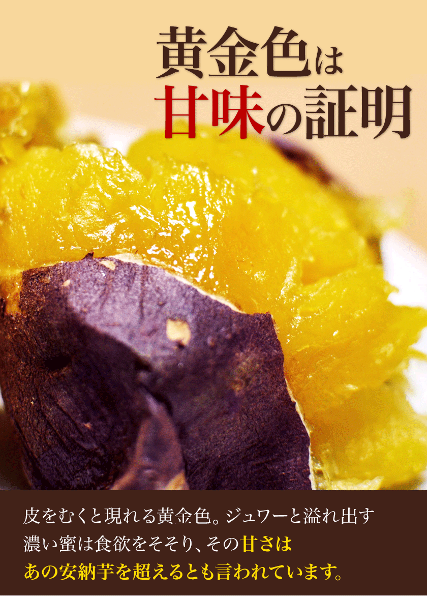【セット購入で最大+3kgおまけ付き！】 さつまいも 紅はるか べにはるか 1.5kg 送料無料 芋 熊本県産 スイーツ お取り寄せ 訳あり ※大中小サイズ混合(不選別 ) 焼き芋 さつま芋 薩摩芋 《1-5営業日以内に発送予定(土日祝除く)》
