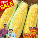 【セール★3680円⇒3280円】 とうもろこし すごあまこーん 7本入 (3L~Lサイズ) 約1.8kg~約2.4kg 九州産 卯野農場 高糖度 生食OK 朝採り スイートコーン 送料無料 クール便対応 《7月上旬~8月上旬頃より発送予定》|
