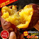 \★売り尽くし衝撃価格★1kg当たり447.5円!!/ 【送料無料】さつまいも 熊本県産 訳あり(サイズ大中小不揃い) くまもと風土 シルクスイート 大容量 たっぷり 8kg 焼き芋 お取り寄せ 《配送予定に記載の日程でお届け》|