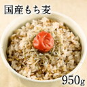 もち麦 国産【送料無料】TVで話題の大麦(もち麦)950g入り★注目成分である「水溶性食物繊維(β-グルカン)」も摂取♪《3-7営業日以内に出荷予定(土日祝日除く)》