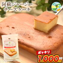 阿蘇 ジャージー チーズケーキ ケーキ 1000円ポッキリ 送料無料 希少 な ジャージー牛乳使用 スイーツ ポイント消化 買い回り 誕生日《7-14営業日以内...