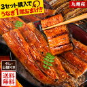 ギフト うなぎ 有頭 国産 蒲焼 蒲焼き 1尾165g以上 鰻 九州産 たれ さんしょう のセット ウナギ 鰻 贈り物 ボイル 九州 蒲焼 冷凍 セール《1-5...