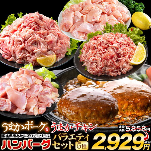 【今なら半額セール！】総重量1,720g! お肉5種 バラエティセット 肉 豚肉 鶏肉 ハンバーグ 5種 大容量 ..