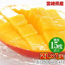 宮崎県産 完熟マンゴー マンゴー 1玉 (2Lサイズ 約350g〜約449g) 送料無料 健康 ギフト プレゼント フルーツ 食べ物 贈答 スイーツ お取り寄せ...