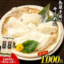 【1,000円ポッキリ 送料無料】 島原 手延べそうめん 600g 12束入り 2袋 訳あり お試しセット 国産 乾麺 素麺 にゅうめん 家庭用 お徳用 流しそ...