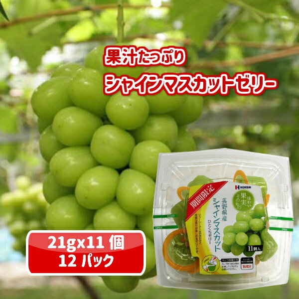 長野県産シャインマスカットひとくちゼリー　21g×11個入x12パック【信州　長野　シャイン　マスカット　ぶどう　果物　果実　果汁　シャーベット　常温　おやつ　お取り寄せ　お土産　ご当地　人気商品　まとめ買い　送料無料】