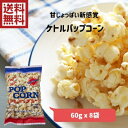 【新発売】ケトルパップコーン 60gx8袋【新しい味】【ポップコーン とうもろこし 砂糖 シュガー 塩 ソルト 新作 先取り フレーバー カルディ テーマパーク...