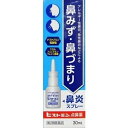 【第2類医薬品】ヒストミン点鼻薬 30mL(小林薬品工業)