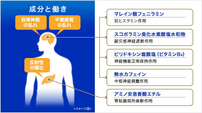 アネロンニスキャップ6カプセル(エスエス製薬)『指定第2類医薬品』