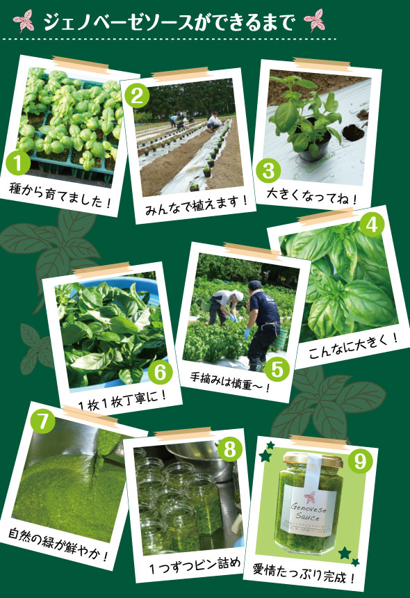 �ڥ����Υ١����������ʢ����եȥ��å��Բġˡ� ��ƣ�� ���Ⱥ��� ̵ź�� ǻ�� ��ǽ������ �ѥ��� �ԥ� ������ ������ ��