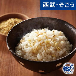 もち麦 グルメ お取り寄せ 熊本「西田精麦」九州産黄金もち麦 12袋入 西武そごうごっつお便 母の日 父の日