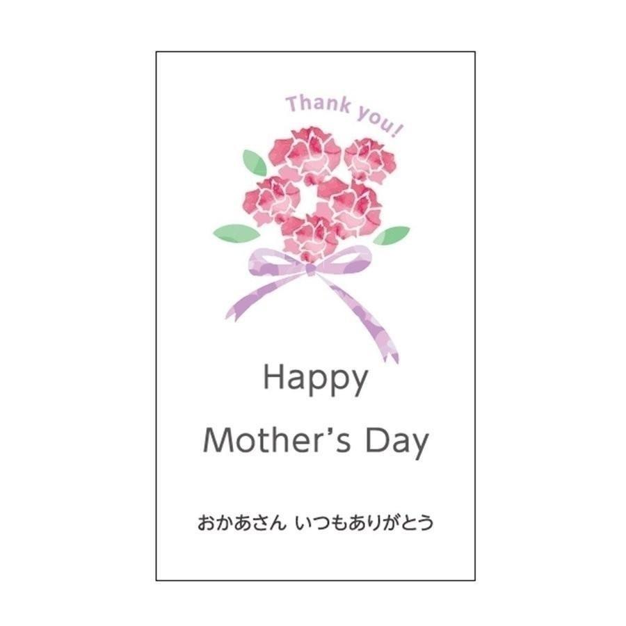 【母の日10％offクーポン】母の日 2025 梅干し 長生き屋商店 紀州産南高梅 希心 みかん蜂蜜入り 塩分約3％ 10粒入 期間限定4月27日迄販売 ※母の日カード付 母の日