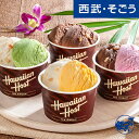 お中元 夏ギフト 2025 アイス ハワイアンホースト マカダミアナッツアイス 西武・そごう ごっつお便 期間限定7月31日迄販売