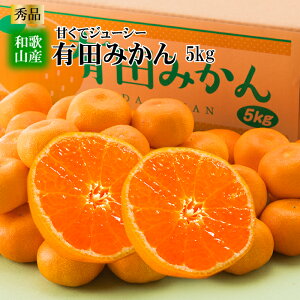 【送料無料】和歌山産 有田みかん 秀品 (5kg) ジューシー温州みかん お歳暮 果物 フルーツ 贈り物 プレンゼント ギフト 自宅用 箱【11月末頃〜12月末頃発送】