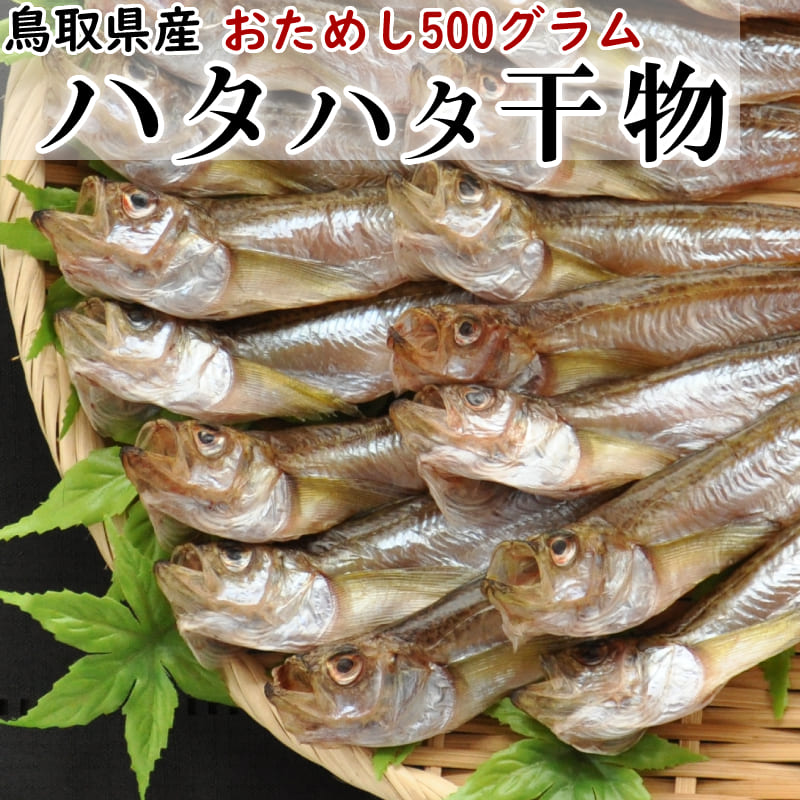 ハタハタ 一夜干し 有頭 おためし 500g 15〜20尾前後 鳥取県産 干物 冷凍 はたはた 産地直送 山陰 日本海 干し 鰰 浜下水産【送料無料】