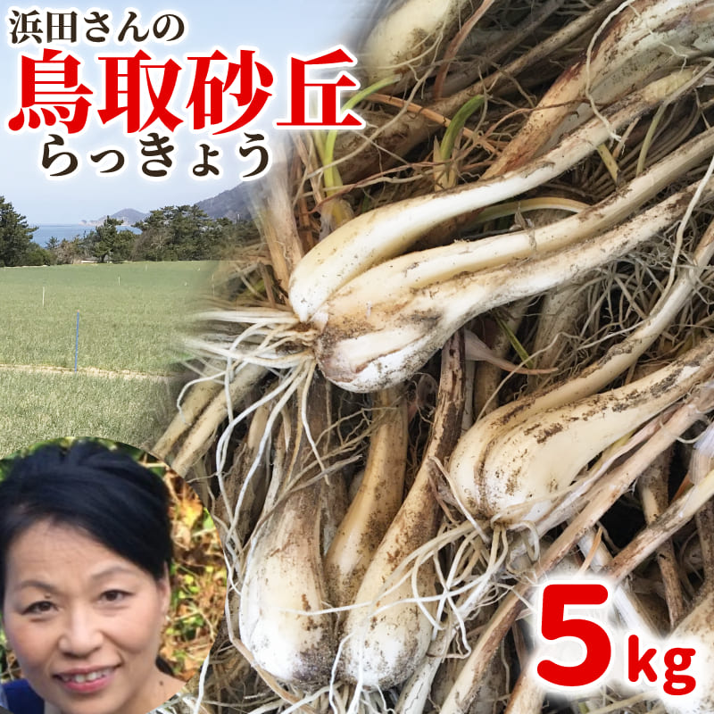 浜田園の砂丘らっきょう 鳥取県産 らっきょう 生 5kg（根付き）予約 らくだ 大きさ不揃い 福部 産地直送 簡単レシピ…