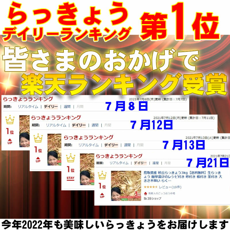 鳥取県産砂丘らっきょう3kg【送料無料】生らっきょう簡単漬けのレシピ付き砂付き根付き茎付き大きさ不揃いらくだ浜田園福部産種苗土