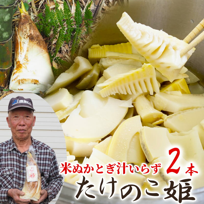 楽天市場】京都 朝掘りたけのこの通販 楽天市場】京都 朝掘りたけのこの通販