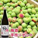 ＼楽天1位／【予約限定販売 完熟ウメ】【送料無料】漬ける 梅酒 手作り セット 高級ブレンド梅1kg 梅ちゃん1本 果実酒 かんたん 梅酒用 日本酒 南高梅 うめ 梅 飲み比べ 長期 保存 梅料理 ギフト おしゃれ プレゼント 自家製【冷蔵】