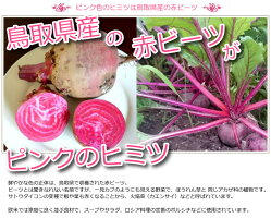 楽天市場 ピンクカレー 華貴婦人のピンク華麗 カレー 1箱 0g 鳥取人のごっつおう市場 楽天市場 ピンクカレー 華貴婦人のピンク華麗 カレー 1箱 0g 鳥取人のごっつおう市場