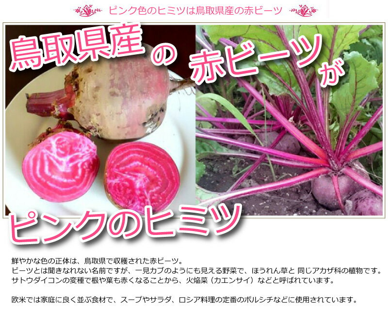 楽天市場 ピンクカレー 華貴婦人のピンク華麗 カレー 1箱 0g 鳥取人のごっつおう市場