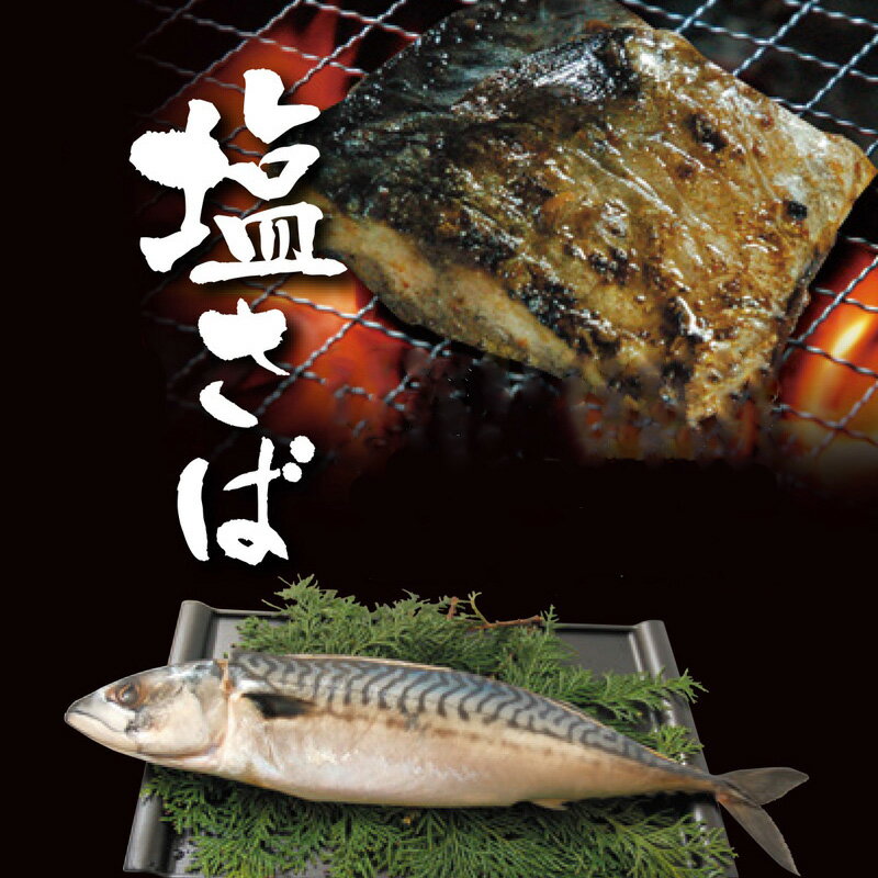 【送料無料】鳥取県の塩サバ 酒ノ津仕立て 大 400g×5枚 冷蔵 真空パック 上野商店 産地直送 他のメーカー商品との同梱不可 鯖 さば ノルウェー産 ギフト