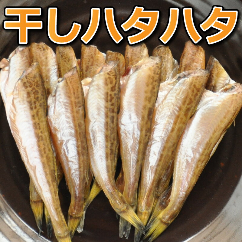 ＼たっぷり大満足 鳥取産ハタハタ／【送料無料】一夜干し 無頭 55〜100尾（約1kg）鳥取県 干物 冷凍 はたはた 産地直送 山陰 日本海 干し 鰰 浜下水産