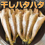 ＼数量限定 鳥取のハタハタ／【送料無料】一夜干し 無頭 たっぷり 55〜100尾（約1kg）鳥取県産 干物 冷凍 はたはた 産地直送 山陰 日本海 干し 鰰 浜下水産