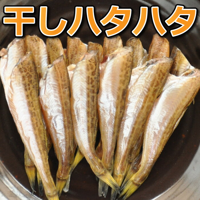 鳥取県産 干し ハタハタ 無頭 1kg前後 干物 一夜干し 冷凍 はたはた 鰰 浜下水産 産地直送 日本海産 山陰産 他のメーカー商品との同梱不可 日付指定不可