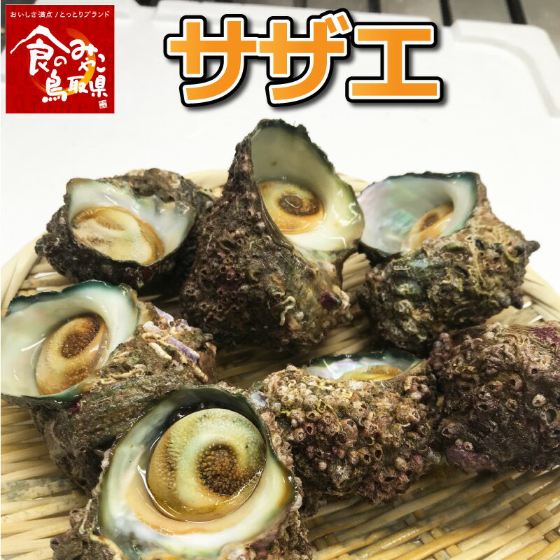 日本海 鳥取県産 さざえ(1kg)冷凍便 送料無料 サザエ 貝 加熱用 10～15個 浜下水産 山陰 産地直送