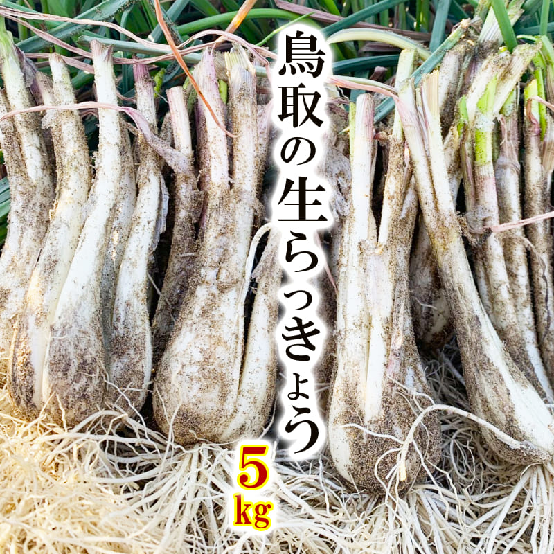 全国お取り寄せグルメ鳥取野菜・きのこNo.12