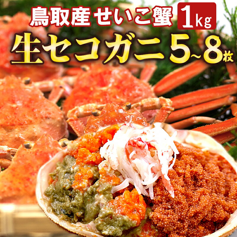 【楽天1位6冠】2個で1000円引き【高評価4.6★】生を箱詰め 鳥取産セコガニ(親がに/せいこ蟹/せこがに)5〜8枚 約1kg 訳あり 姿 本ズワイガニ メス...
