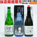 【送料無料】\鳥取の地酒セット/日本酒 飲み比べ 3本セット 720ml 鳥取地酒 人気銘柄 お歳暮 父の日 母の日 敬老の日 解説書付き