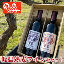 ギフト ワインセット 赤 辛口 2本 飲み比べ 高級 地ワイン 甲斐ノワール ヤマソービニオン 国産 ペア フルボトル 低温発酵 兎ッ兎ワイナリー 鳥取 プレゼント ギフト 父の日 誕生日 御中元 お中元 お返し お酒 わいん セット 兎ッ兎ワイン