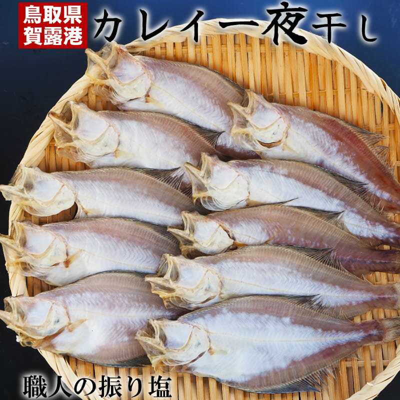 ※産地直送の為、他のメーカー商品との同梱は出来ません。 ※日付指定不可 ■鳥取のカレイ 鳥取で一夜干しといえばエテカレイ。 ハタハタとならんで人気です。 ■昔ながら伝統製法 原料と塩のみ、昔ながらの振り塩で職人さんが二人三脚で作る藪中商店の干物。 しっかりと乾燥させるこだわりで、6時間以上かけてじっくりと乾燥しています。 ■おすすめの食べ方 ホクホクでジューシーな身と濃厚な味をお楽しみください。 一夜干しを焼くのが手軽ですが、他にもから揚げなどいろいろな楽しみ方があります。 ご飯のおかずや酒の肴にもぴったりです。 【メーカー】藪中商店／鳥取市賀露 【内容量】500g（4～7枚） 【発送方法】冷凍 ■関連 プレゼント/セット/鳥取/贈り物/ギフト/誕生日/御祝/結婚祝い/出産祝い/内祝/お返し/引き出物/入園祝い/入学祝い/就職/昇進/退職祝い/引越し/新築/開店祝い/記念日/お祝い/還暦/古希/喜寿/傘寿/米寿/卒寿/白寿/ハロウィン/クリスマス/お歳暮/年越し/お正月/新年/お年賀/お土産/砂丘/姿/エテカレイ/イテカレイ